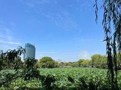 -无锡蠡湖国家湿地公园-蠡园