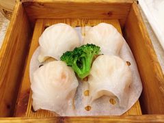 -龙的酒楼·手工早茶·顺德菜(近良路店)
