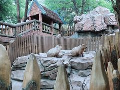 -杭州长乔极地海洋公园