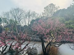 -无锡梅园公园
