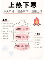 -香薇妮丝女子减肥院