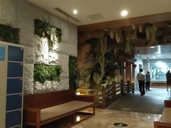 -御池园(顾村公园店)