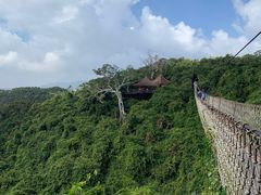 -亚龙湾热带天堂森林公园