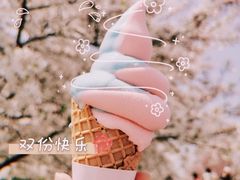 -上海辰山植物园