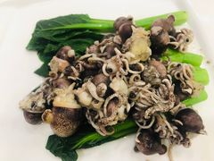 白灼小章鱼-霞海鸭仔饭店(海滨大道北店)