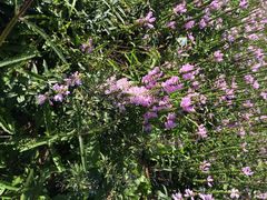 长春公园-长春公园(普阳街道)