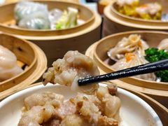 -旺金鸽·传承15年老字号·手工早茶(荔湾坦尾桥中店)