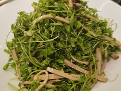 -新乾隆酒楼(帝景园店)