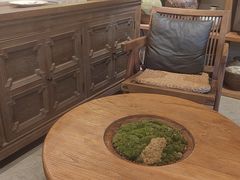 -自由生长植物工作室(深港花卉中心店)