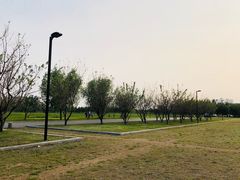 -沈阳南站