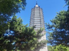 -舍利塔滩地公园-无垢净光舍利塔