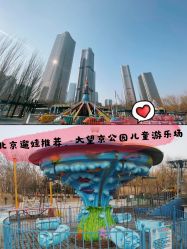 -大望京儿童游乐场