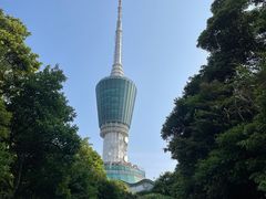 -梧桐山风景名胜区