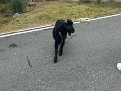 -雅和生态渔庄·宜城锅巴饭(龙灵山公园店)