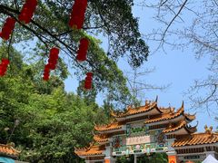 -广州市流溪河国家森林公园