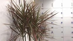 点击看大图 -CUT CUT Hair Salon