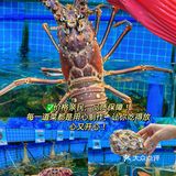 3在三亚!N刷不腻的海鲜餐厅!