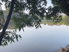 -三水森林公园