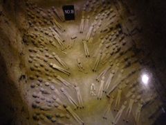 -汉景帝阳陵博物院
