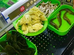 -蚝专家