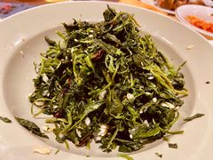 -蓝田印象