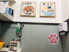 -伟伟宠物医院·瑞派猫友好医院·猫科(光谷店)