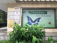 -上海昆虫博物馆