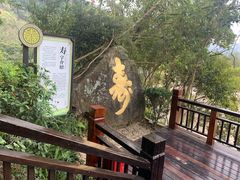-天鹿湖森林公园