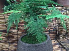 -秦美花卉(天朗·莱茵小城2期店)
