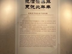 -南京市民俗博物馆(甘熙故居)