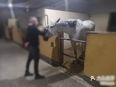 -松声马术俱乐部