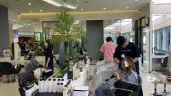 -BEAUTY HAIR GANO