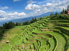 -紫鹊界梯田景区