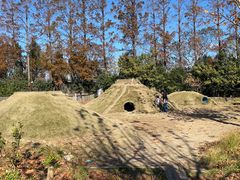 -前小桔亲子创意农场·草莓采摘·露营烧烤