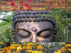 -杭州植物园