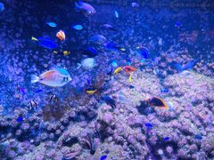 -成都浩海立方海洋公园