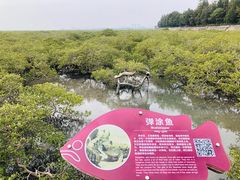 -北海金海湾红树林生态旅游区