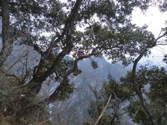 iphone_upload_pic-塔云山