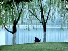 -天鹅湖体育公园