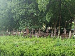 -胜丰草莓采摘园