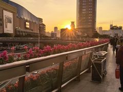 -陆家嘴空中步行连廊