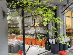 -溪岸路花鸟市场