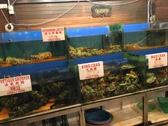 -真浪花园海鲜餐馆