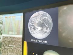 -上海昆虫博物馆