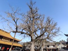 -溪口-滕头旅游景区