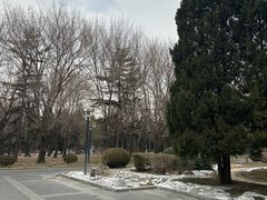 -清华大学-甲所餐厅