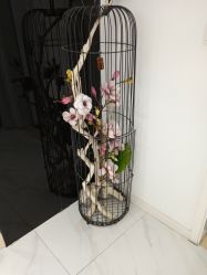 -樱木町·日式头皮管理中心