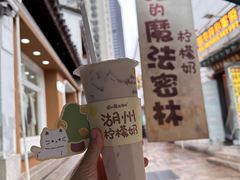 -猫的魔法密林(衣裳街店)
