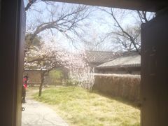 -红楼梦邮局