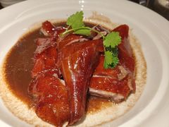 -永記粤菜·五指毛桃花雕鸡煲(九亭店)